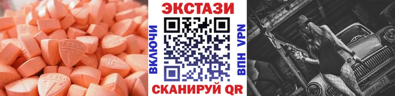 Ecstasy Philipp Plein  Купить закладки  Славгород 