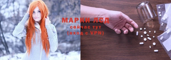 трава Осинники