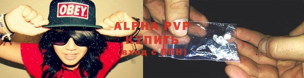 трава Осинники