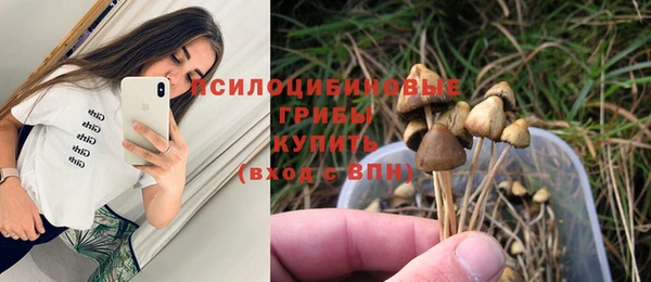 гидропоника Осташков