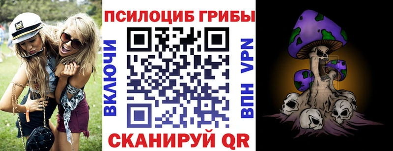 Купить где  Славгород  Галлюциногенные грибы Cubensis 